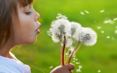 Alergia sezonowa u dziecka – jak rozpoznać jej objawy i kiedy leczyć